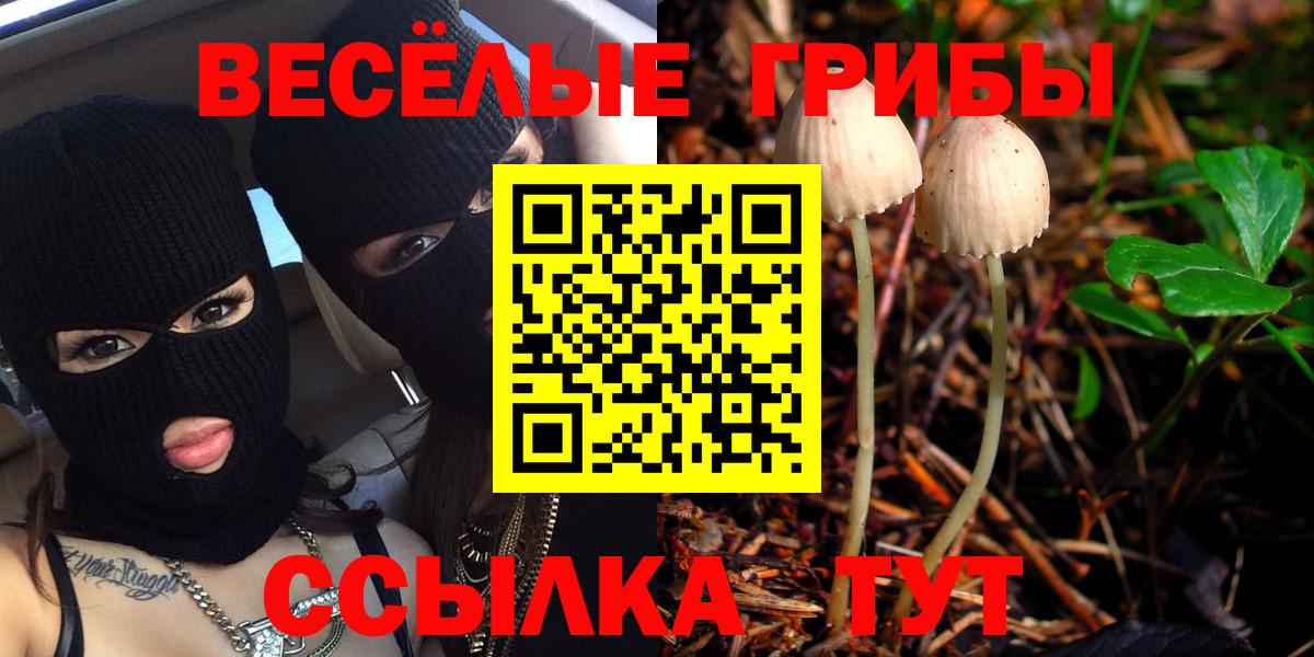 Краснокаменск  Псилоцибиновые грибы Cubensis  Вход с VPN 